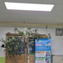 대구초등 병설유치원 이미지