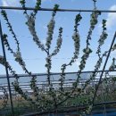 은혜농원 이미지