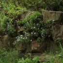 향기담기 이미지