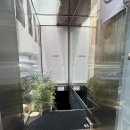 제육미남 | [서울/양재] 무제오: 강남 코스요리 데이트 맛집 무제오 한식다이닝 런치 메뉴 후기