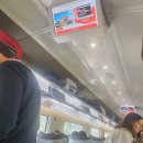 세비야 | 스페인 기차여행 후기 | 바르셀로나→세비야 Iryo 예약 꿀팁 &amp; 렌페 비교