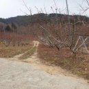 도창농장 이미지