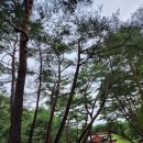 25시 당구장 이미지