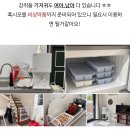 몽썸 | [공유] 몽썸 애견펜션 내돈내산 후기