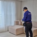 여름 해충방제 바퀴벌레없애는법! 해충방역업체 케어원 후기