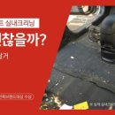 금성세차