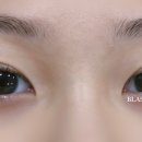 래쉬 비(LASH B!)
