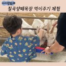 도윤목장 이미지