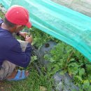 수필농장 이미지