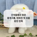 몽개구름 이미지