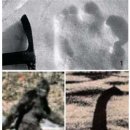 자연이야기 이미지