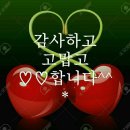 도야정 이미지