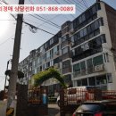 신안로1 이미지