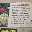 증평인삼곰갈비탕 이미지