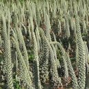 이엠한의원 이미지