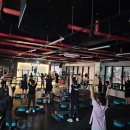 메이저 복싱짐 | 청주 송절동운동 레즈밀 GX 피트니스 운동 효과 만점인 메이져복싱짐 테크노폴리스점