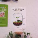 이끼다움