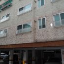 신월동243 이미지