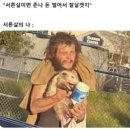 애플스테이 이미지