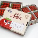 제일농수산유통 이미지