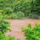 스트로마톨라이트 이미지