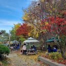 만추식당 이미지