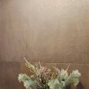 오유플랜트