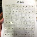 바이트어웨이 사용후기, 버물리보다 나을까?