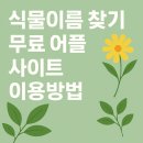 식물이름 찾기 무료 어플 사이트 이용방법