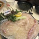 [한티역 맛집] 신선한 대광어회에 푸짐한 스끼다시 한상차림, 바다생협 대광어 강남본점 방문 후기🐟