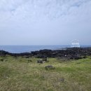 대정읍-6 이미지