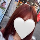 이진헤어 | [롸경's 방문 미용실] 광주 용봉동 애견동반이 가능한 이온헤어 이진쌤의 염색 내돈내산 후기/서이추 환영
