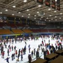 6시내고양이 이미지