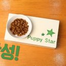 반려식탁 한국일보