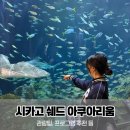 아쿠아리움 | 시카고 여행 추천 코스 | 쉐드 아쿠아리움 후기, 관람 팁, 프로그램 추천