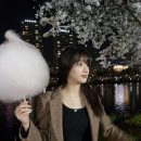 이나은 카카오 검색결과