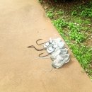 임이랑 농장 이미지