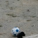 건우 농장 이미지