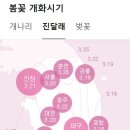 개화 이미지
