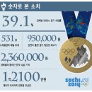 ♧ 대한민국 역대 동계올림픽 종합현황과 제22회 소치 동계올림픽(금3, 은3, 동2) 이미지