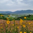 장구넘어 이미지