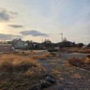 STAY199 | 내돈내산 제주도 김녕 가성비 감성숙소 임미임미 불멍 독채 오른쪽집 후기