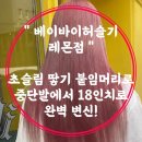 초슬림 땋기 홍대 붙임머리로 중단발에서 18인치로 완벽 변신! &#34;베이바이허슬기 레몬점&#34;