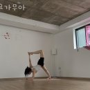 요가무아 | 요가무아 가격 후기