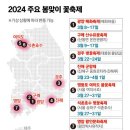 노인 감별 & 봄꽃 축제 이미지