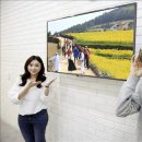 VR 360 이미지