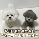 이자매펫미용원 | 강아지 매트 셀프 설치 후기｜셀프로 쉽게 시공한 디팡 매트 솔직 후기