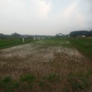 농업회사법인 (주)토종스토리 이미지