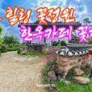 꽃자리 티스토리