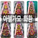 서울화환배달 | 아펠가모 웨딩홀 공덕 선릉 광화문 결혼 3단화환 가격은? 서울 잠실 반포 예식장 전문 화환배달 꽃집 후기